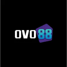 OVO88 - Permainan Gaple Seru dan Menantang